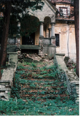 eika image